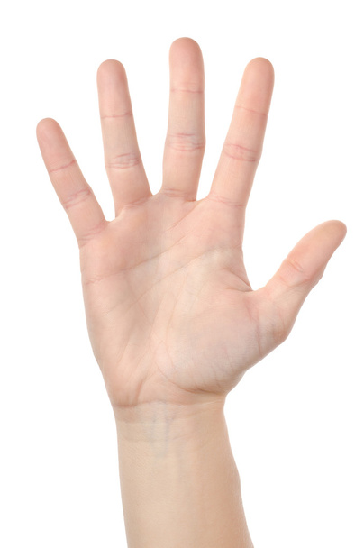Человеческая рука изолирована
 - Фото, изображение