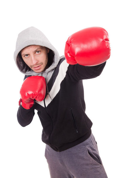 Zabawny bokser odizolowany na białym - Zdjęcie, obraz