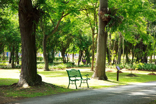 Stock Photo - chaises vertes dans le jardin
 - Photo, image