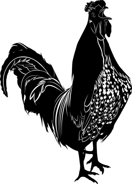 illustration of singing roosterє,, - Vector, Image