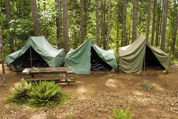 Namioty w obozie harcerza - Zdjęcie, obraz