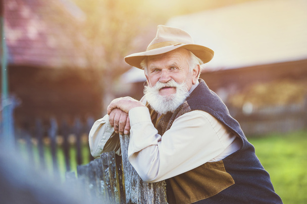 Senior farmer in summer - Фото, изображение