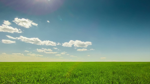 Groen veld, wolken, blauwe hemel, zonnige - Video