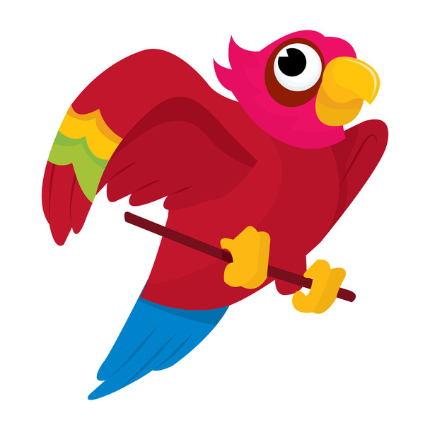 Cartoon Parrot - Vector, Image
