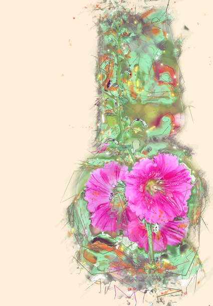 ΜΑΛΒΑ λουλούδια - Διάνυσμα, εικόνα