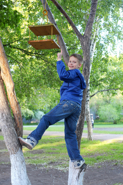 Boy climbing on trees - Фото, зображення