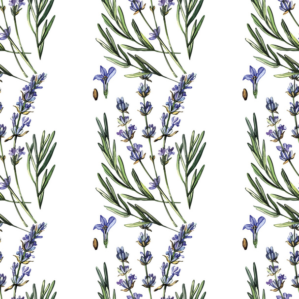 Decorative watercolor pattern Lavender. - Vecteur, image