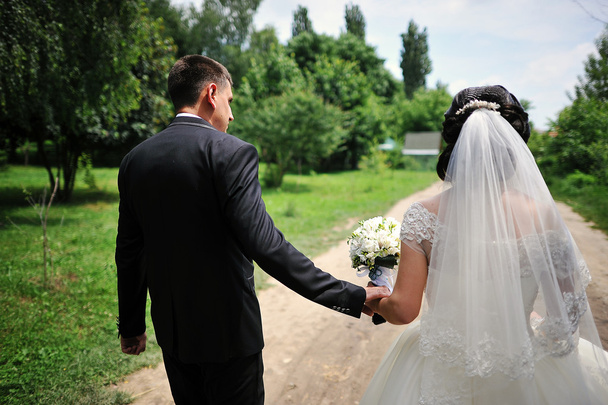 newlywed holding hands back view - Foto, imagen