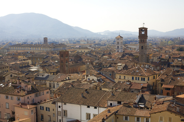 Lucca from the bird's-eye view - Fotó, kép