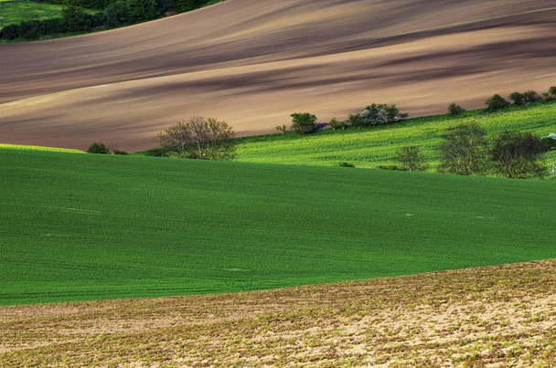 Rural landscape - Photo, image