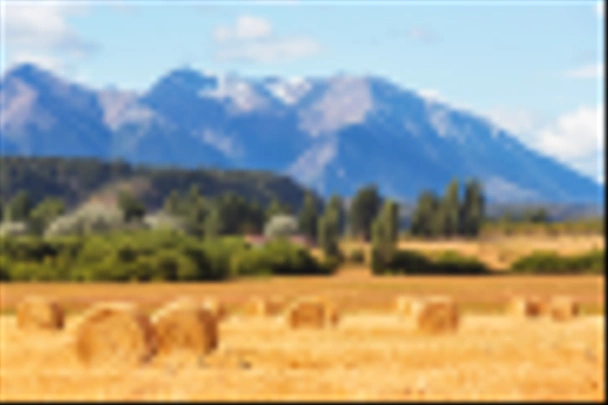 Paysages ruraux en Argentine
 - Photo, image