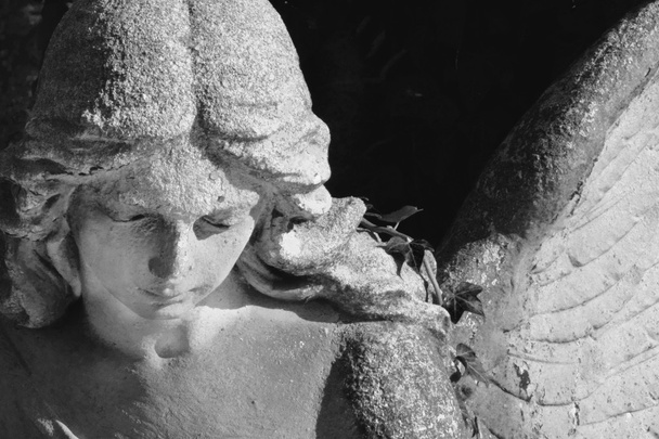 Kamienny anioł w czerni i bieli - Zdjęcie, obraz