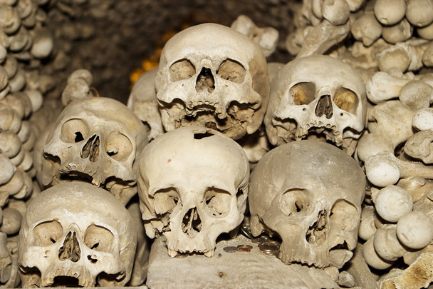 zes menselijke schedels - Foto, afbeelding