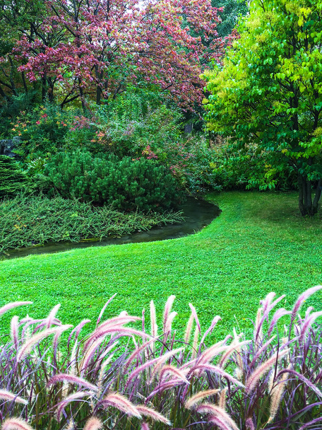 Красивий барвистий сад з зеленим газоном
 - Фото, зображення