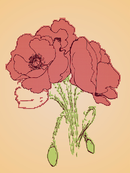 Poppy Flowers Sketch - Vetor, Imagem