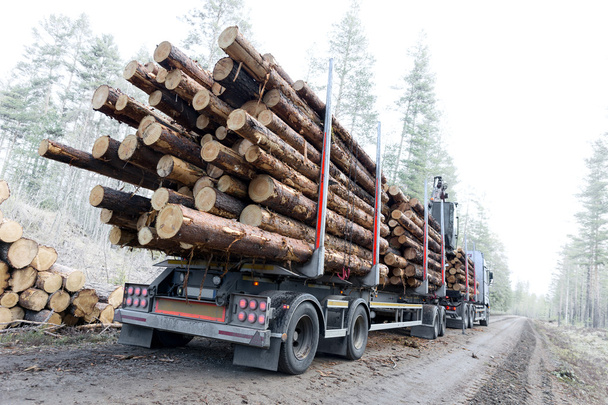 Timber truck on swedish dirt road - Photo, Image