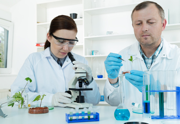 Team of scientists in a laboratory working on chemical testing - Foto, Bild