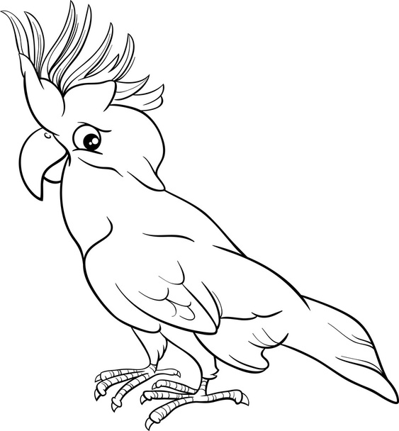 cockatoo parrot coloring page - Διάνυσμα, εικόνα