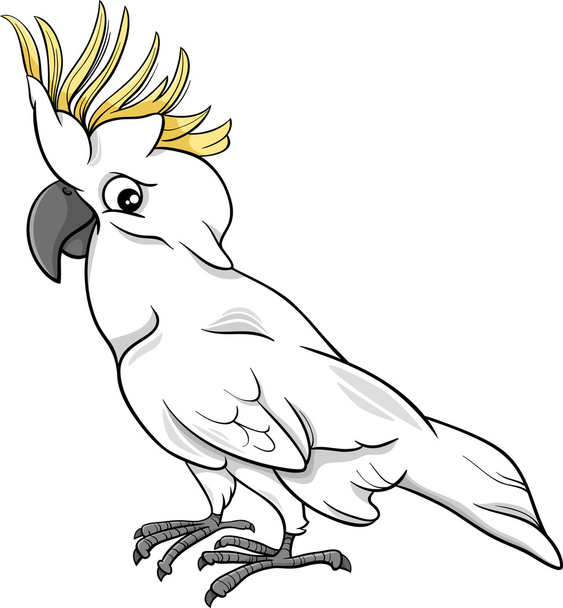 cockatoo parrot cartoon illustration - Vector, afbeelding