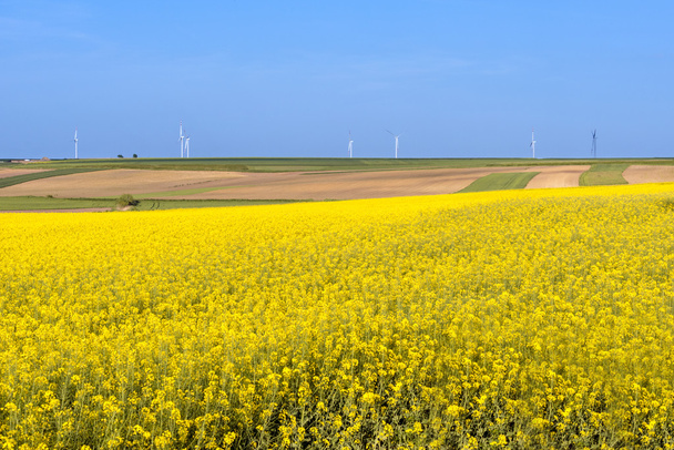 Чистая энергия весной на польской сельской местности
 - Фото, изображение