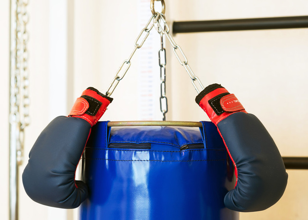 Boxing gloves and punching bag - Photo, Image