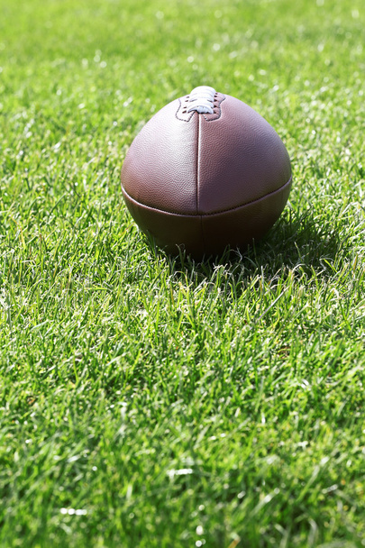 Rugby-Ball auf dem grünen Feld - Foto, Bild