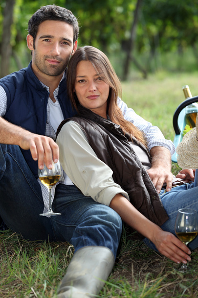 Пара выпивает бутылку вина в поле
 - Фото, изображение