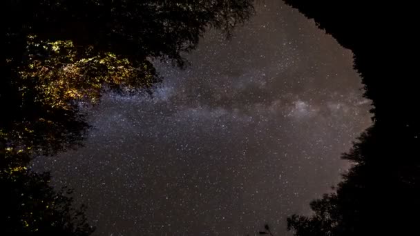 Droga Mleczna w ruchu na niebie w nocy w lesie - Materiał filmowy, wideo