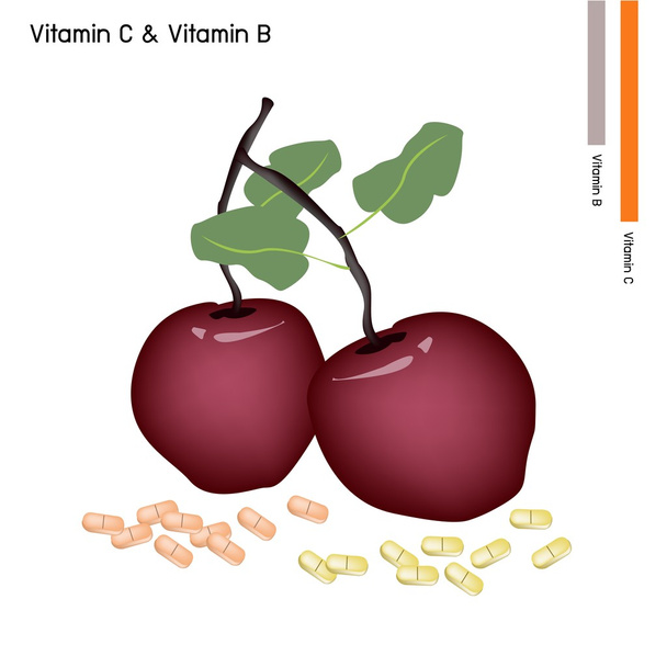 manzana con vitamina C sobre fondo blanco
 - Vector, imagen