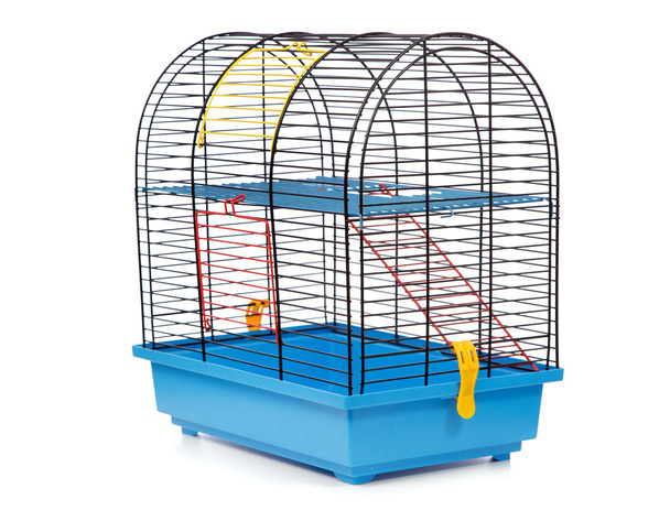 Pet rodent cage - Foto, Imagem