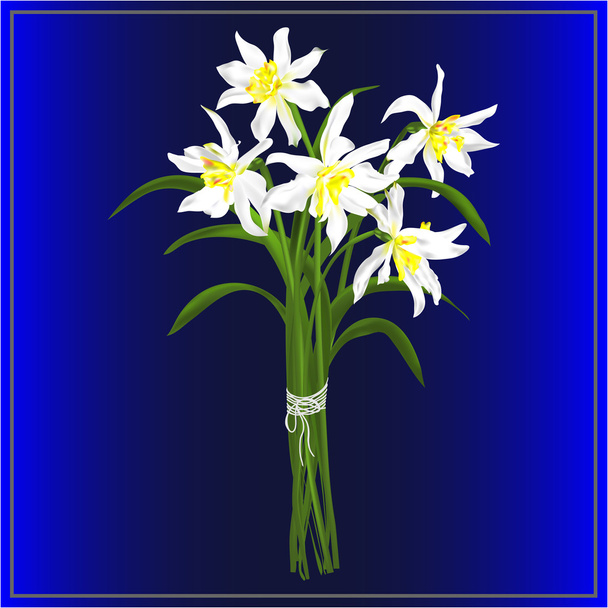 水仙の春の花束 - ベクター画像