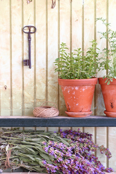 Μάτσο φασκόμηλο και δοχείο με βότανα μπροστά από έναν παλαιό τοίχο - Φωτογραφία, εικόνα