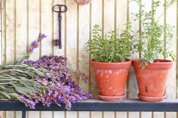 Bunch of sage and pots with herbs in front of an old wall - Photo, Image