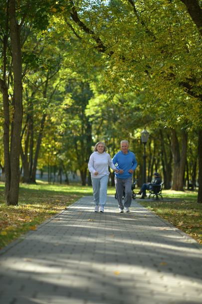 senior couple jogging in  park - Фото, зображення