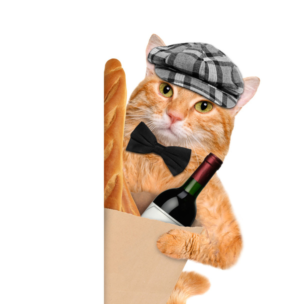 Kot z butelką wina i chleba. - Zdjęcie, obraz