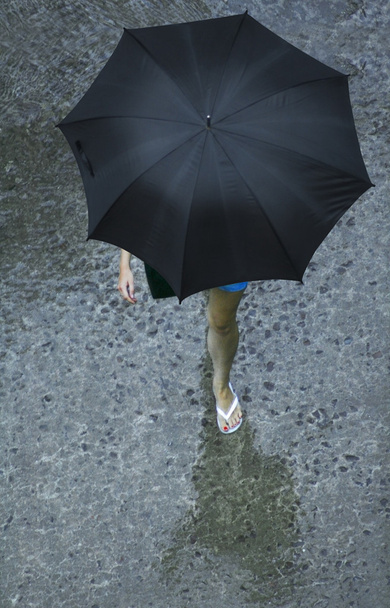 Umbrella - Photo, Image