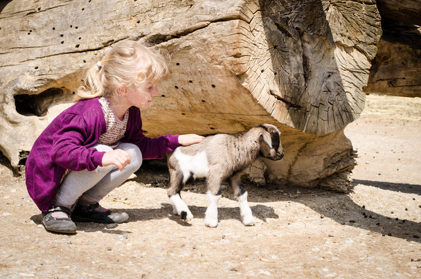 少女と山羊 - 写真・画像