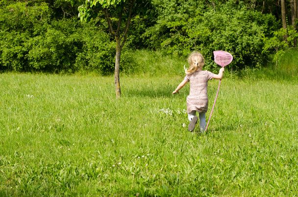 Mädchen mit Netz für Schmetterlinge - Foto, Bild
