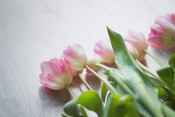 Tulips on a wooden background - 写真・画像