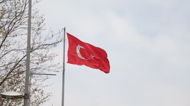 トルコの旗素敵な大きなトルコの旗 - 映像、動画