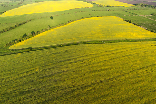 Luchtfoto uitzicht op gele velden - Foto, afbeelding