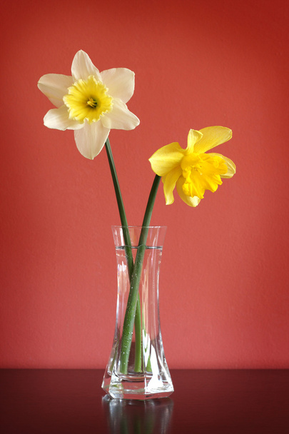 Нарциссы в стеклянной вазе
 - Фото, изображение
