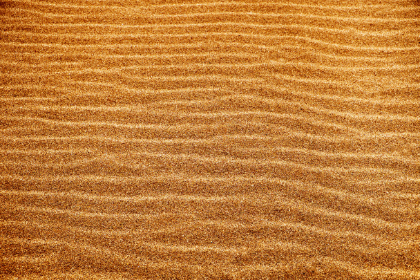 sand background with a natural wavy pattern  - 写真・画像