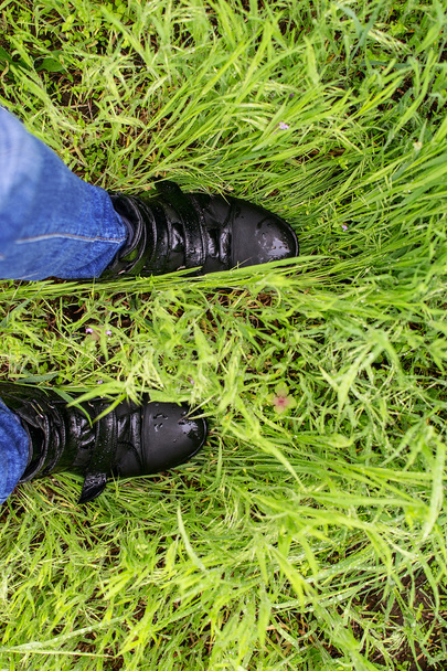 первые шаги в зеленой траве
 - Фото, изображение