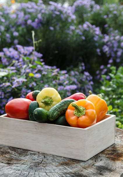 Wooden box with fresh vegetables - Foto, Imagen