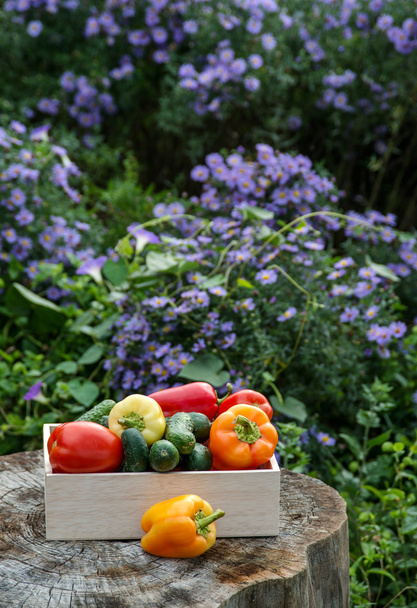 Wooden box with fresh vegetables - Фото, изображение