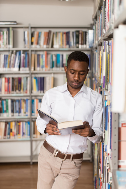 Male College Student In A Library - Photo, Image