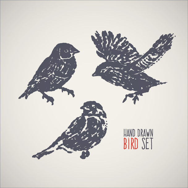 Set de aves dibujadas a mano de tinta
 - Vector, imagen