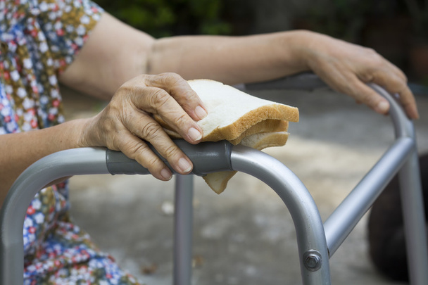 elderly woman holding a slice of bread for dogs - Photo, Image