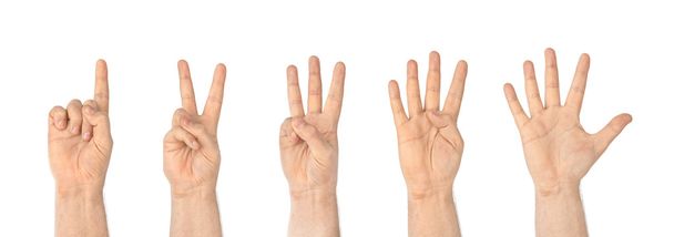 Comptage des mains (1 à 5
) - Photo, image